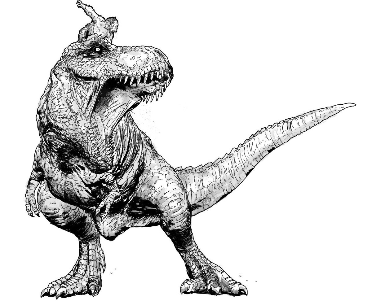 1200x972 Tristan Jones On Twitter