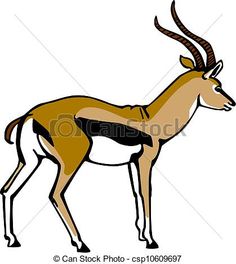 Gazelle Drawing