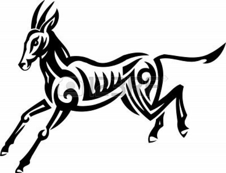 736x563 buck drawing gazelle for free download