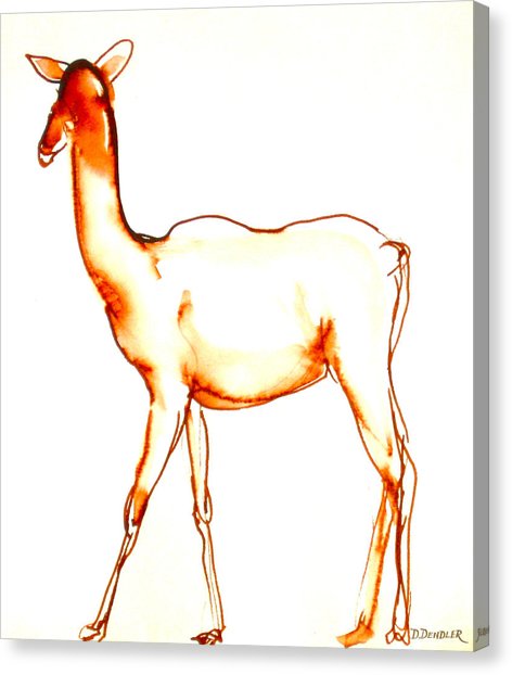 472x622 Gazelle Drawing