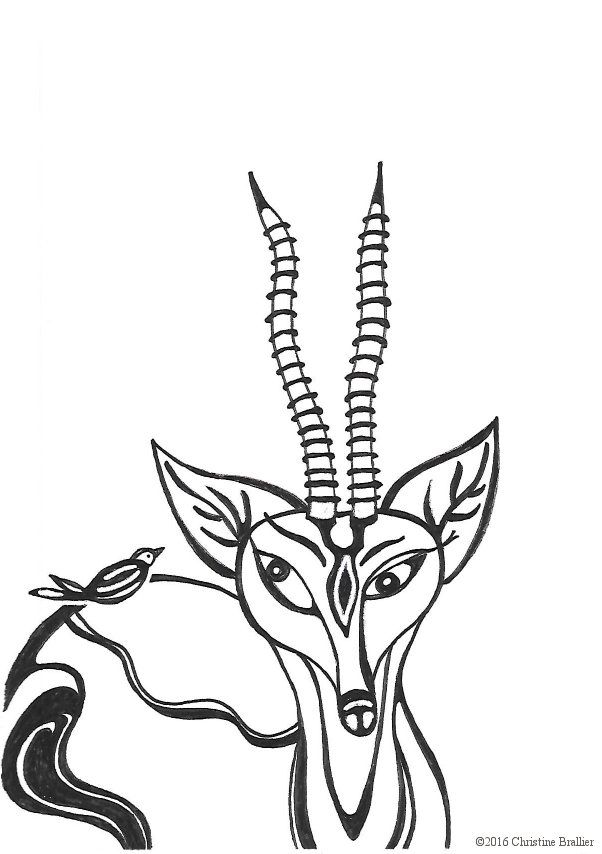 602x854 Gazelle And Friend