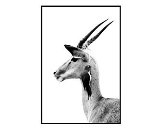 340x270 Gazelle Printable Etsy