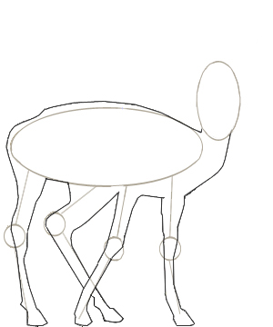 300x360 How To Draw A Gazelle