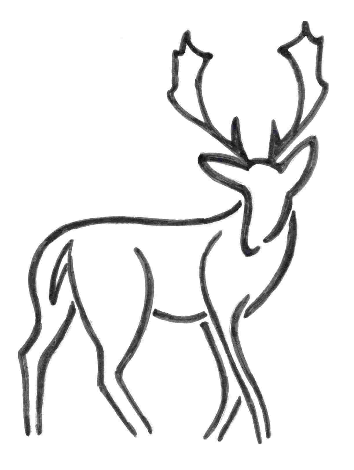 1223x1623 How To Draw A Cartoon Gazelle