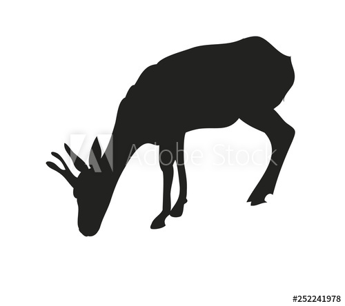 500x444 Vector Illustration Gazelle Drawing Silhouette