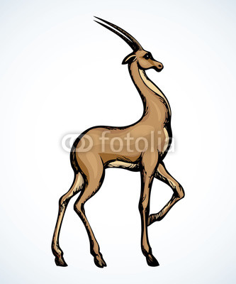333x400 antelope vector drawing buy photos ap images detailview
