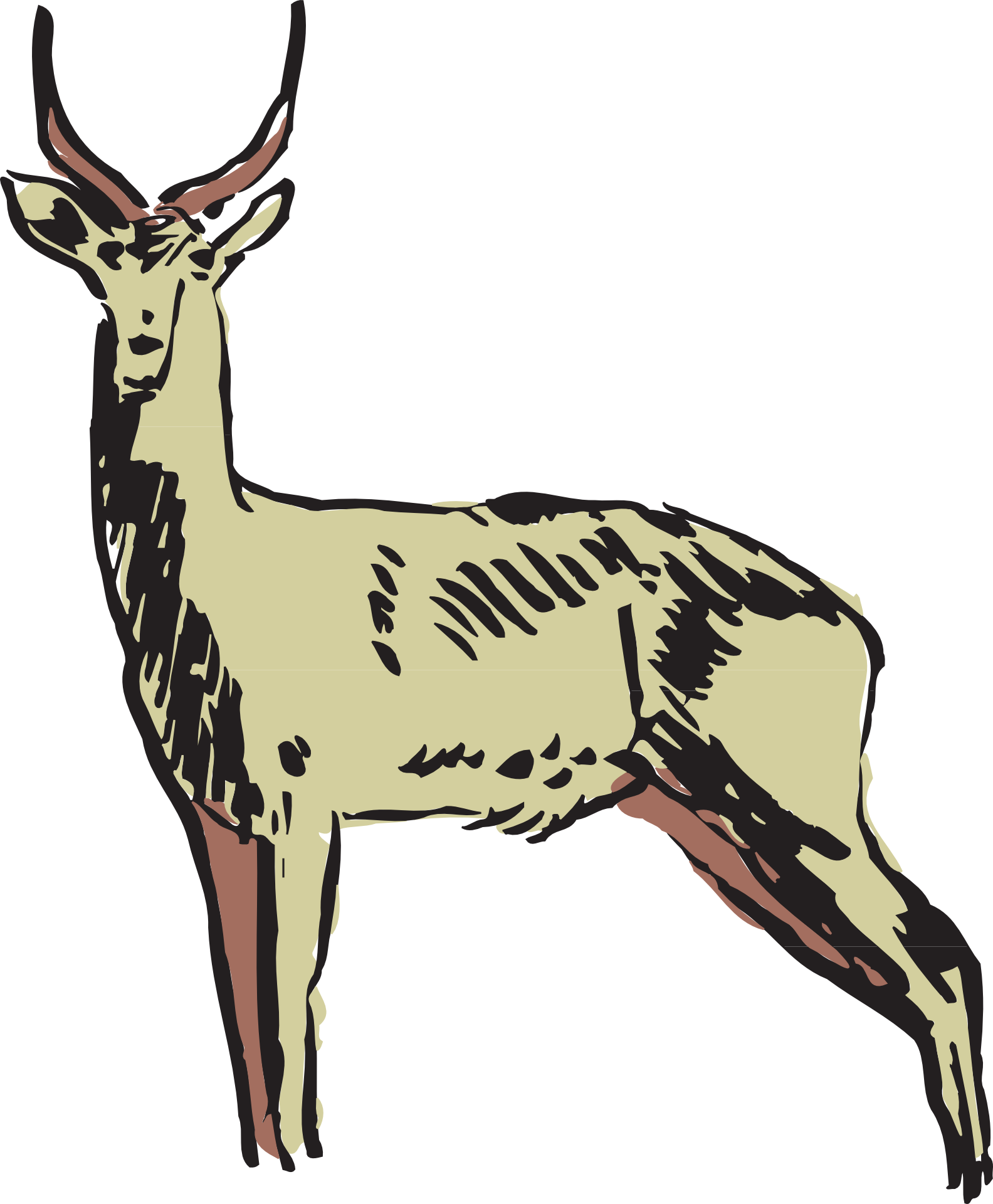 1584x1920 collection of free antelope drawing gazelle download on ui ex