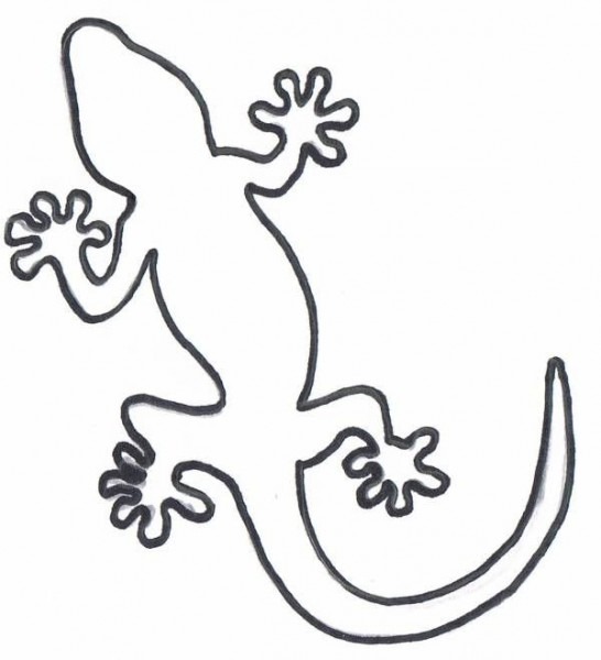 546x600 Gecko Drawing Template