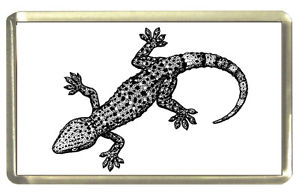 300x192 Gecko Fridge Magnet