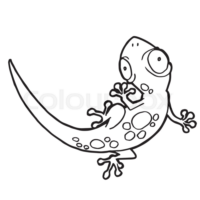 800x800 Cartoon Cute Gecko Coloring