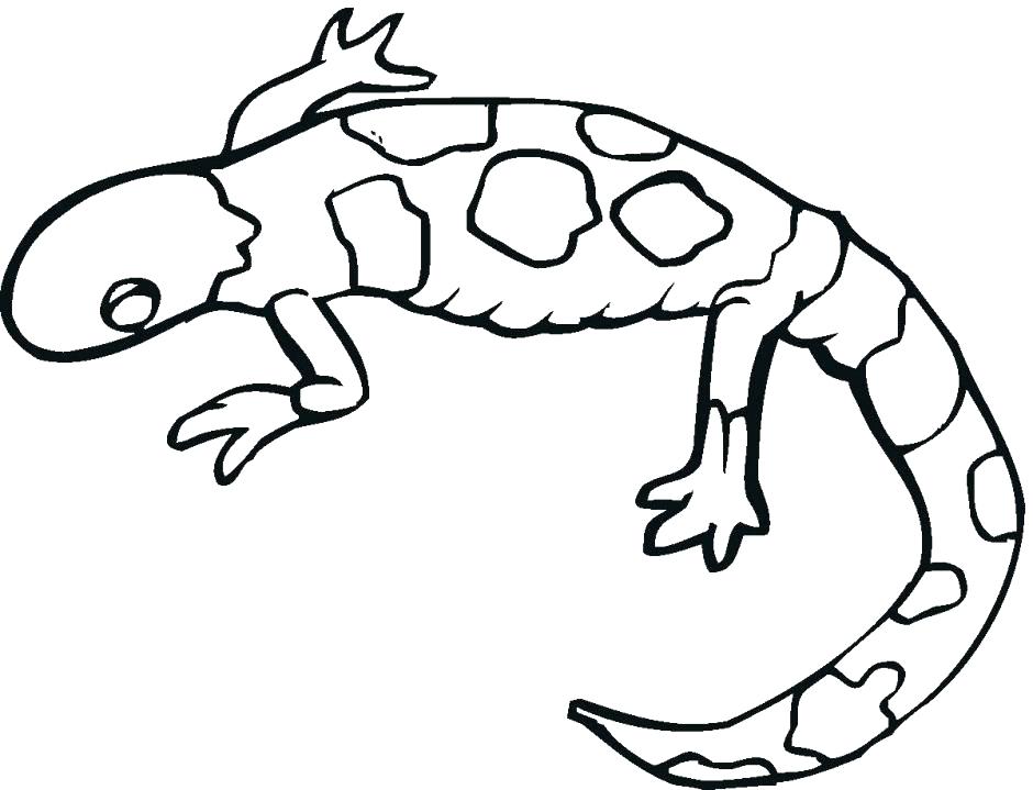 940x719 Leopard Gecko Coloring