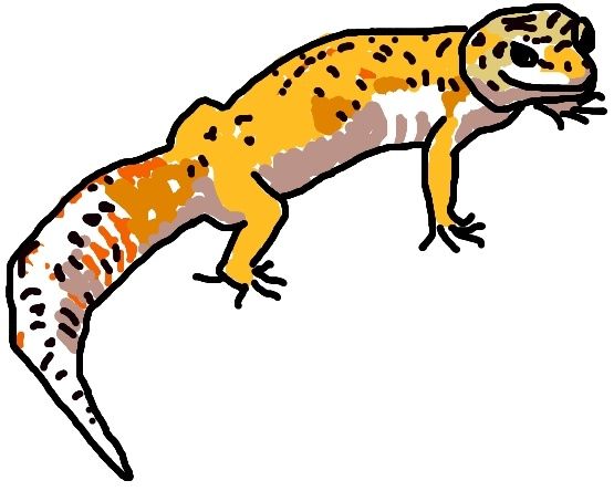 555x444 Leopard Gecko Drawing Lgb Animals, Tigger, Disney Characters