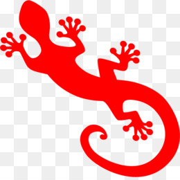 260x260 Gecko Lizard Png