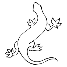 230x230 Top Free Printable Lizard Coloring Pages Online