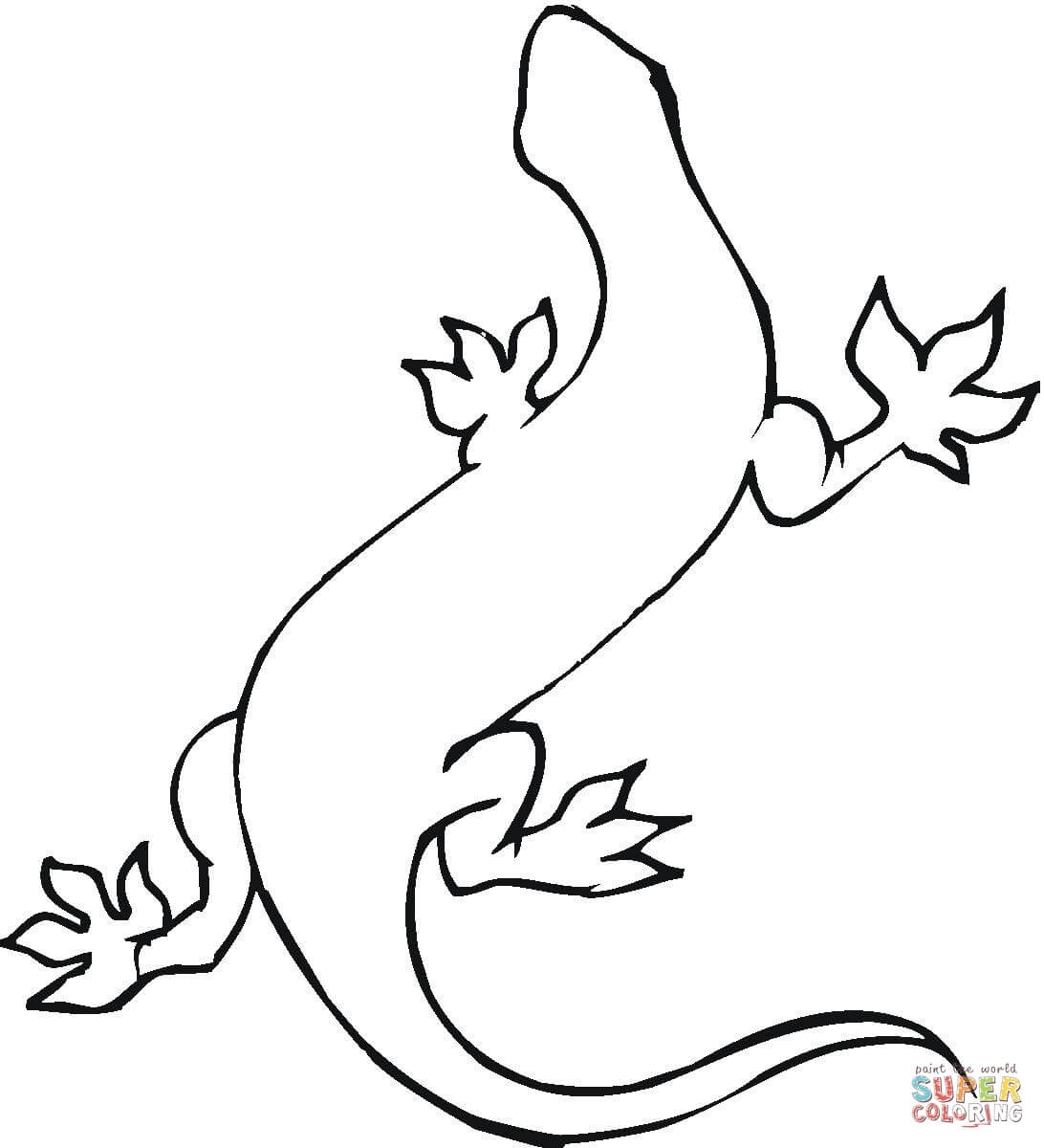 1092x1200 Gecko Coloring
