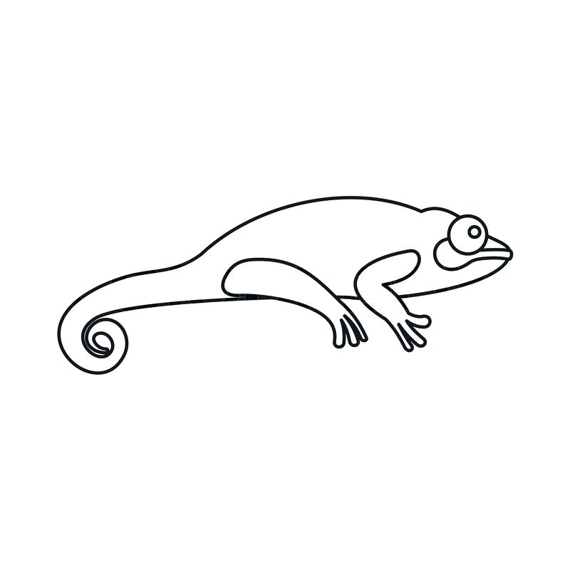 800x800 chameleon outline chameleon outline pictures
