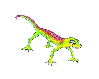 340x270 Gecko Drawing Etsy