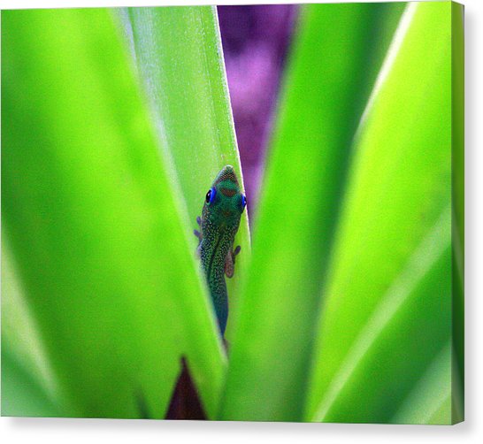 546x502 geico canvas prints fine art america