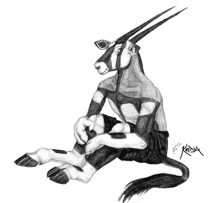 800x778 toledo brunellus on twitter tarek khedvu, gemsbok