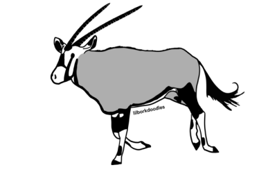 400x248 oryx gazella tumblr