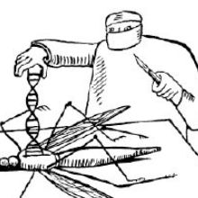 220x220 gene drives and other controversies the scientist