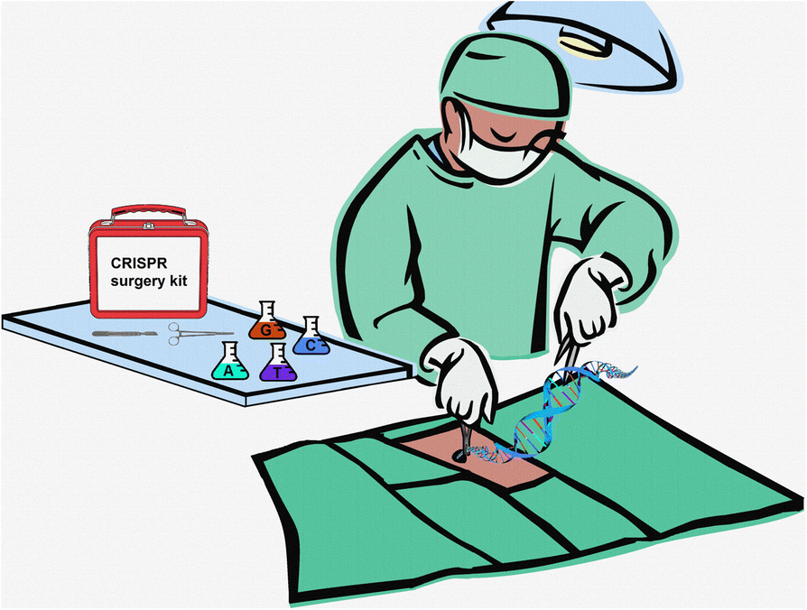 894x676 gene editing in the context of an increasingly complex genome