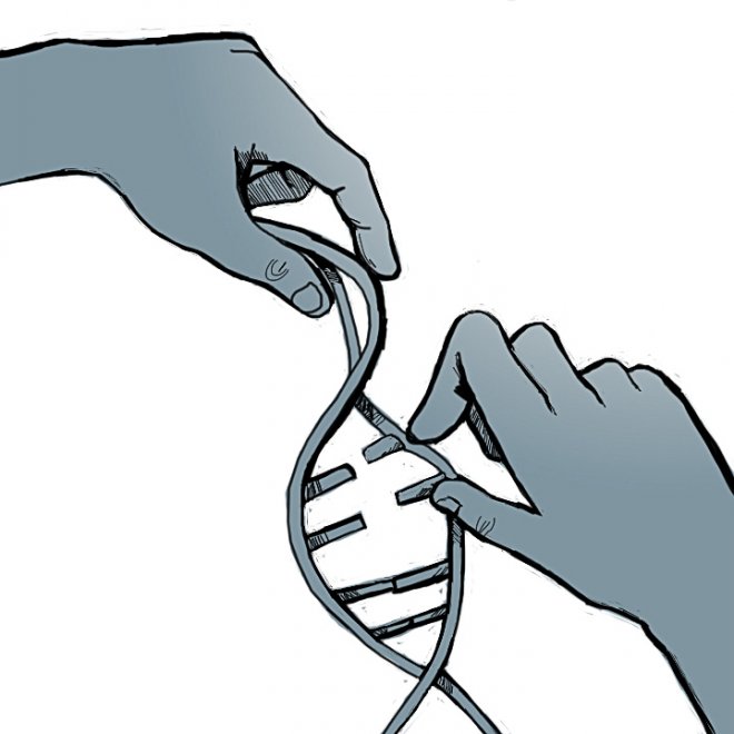 660x660 scientists devise technique for safer gene editing with crispr