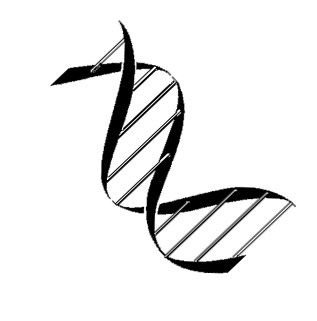 317x321 Genetic Genealogy Research, Llc