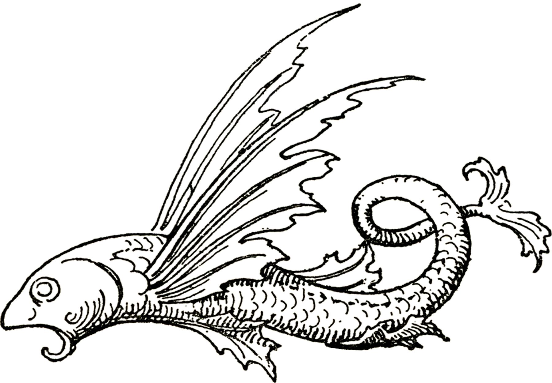 1800x1251 Fancy Flying Fish Images! General Design Graphics Fairy, Fish