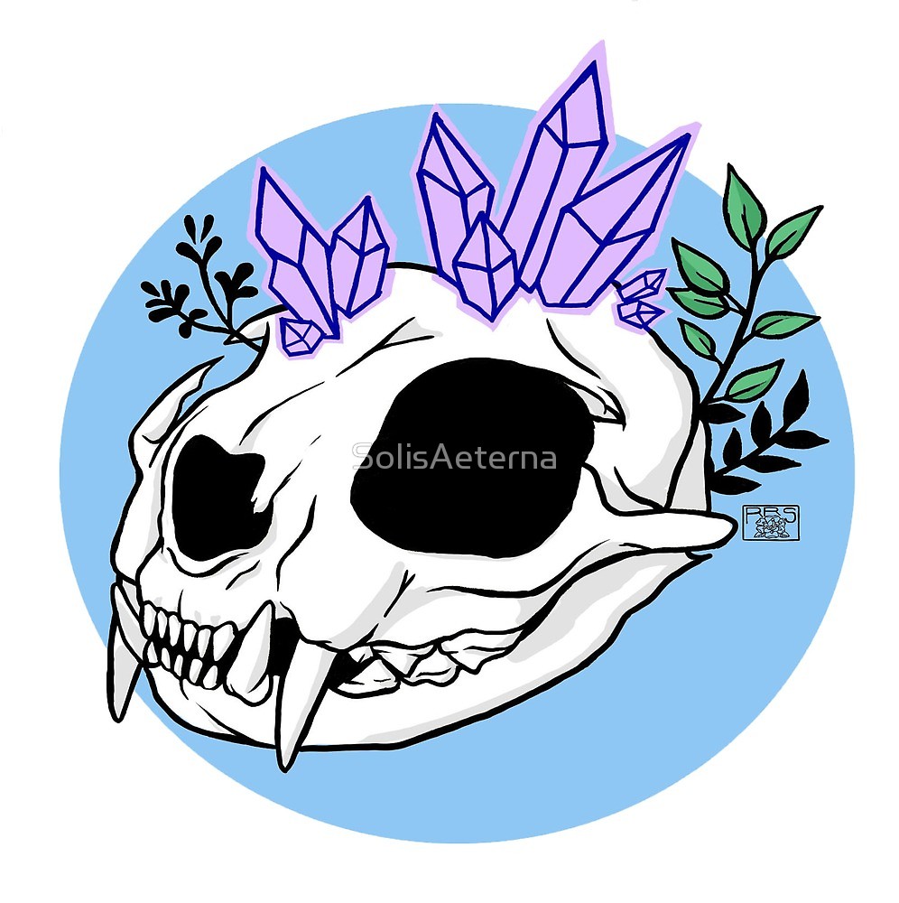 996x1000 Cat Skull Geode