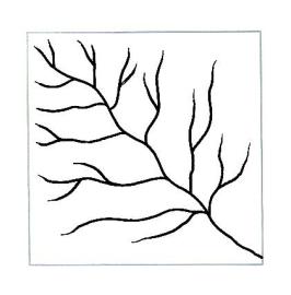 266x270 geology final flashcards