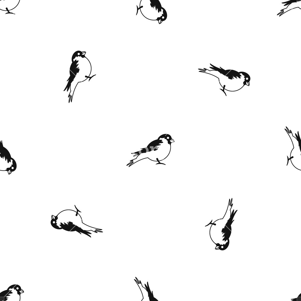 1000x1000 Bullfinch Pattern Repeat Seamless In Black Color For Any Design