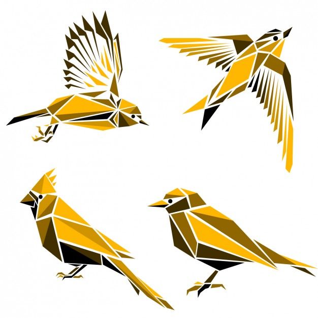 626x626 collection os birds made of polygonal shapes free vector