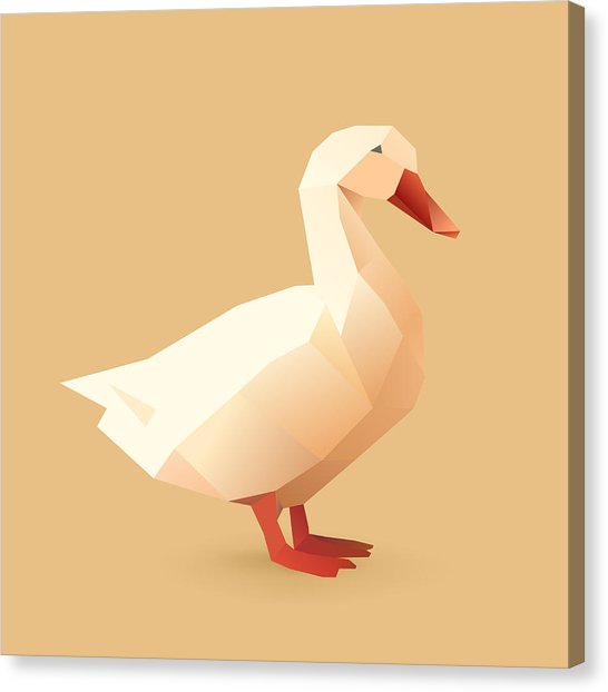 546x622 Geometric Drawing Canvas Prints