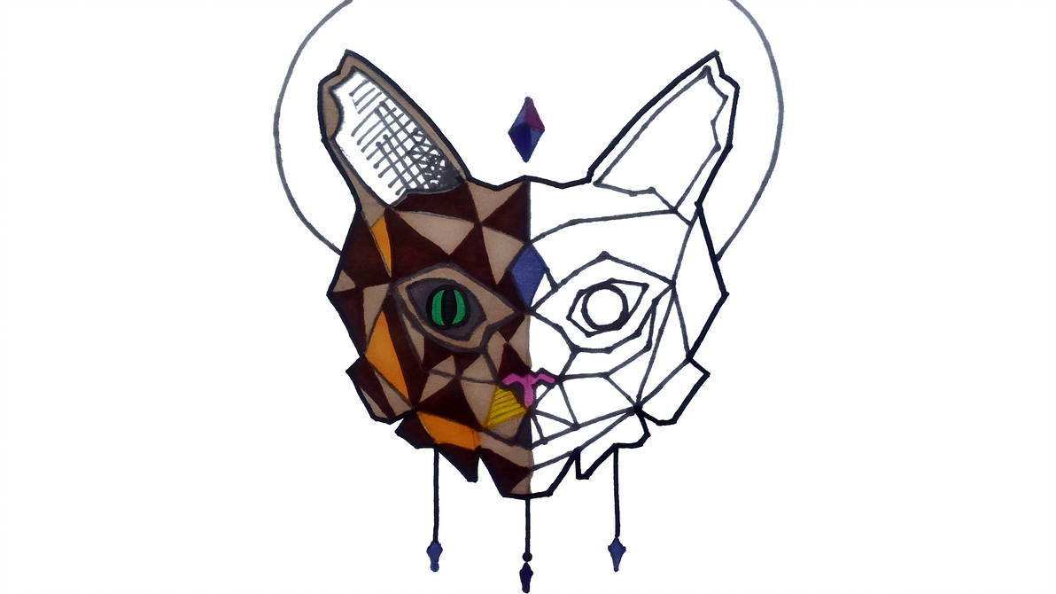 1192x670 Geometric Cat Face Half Color