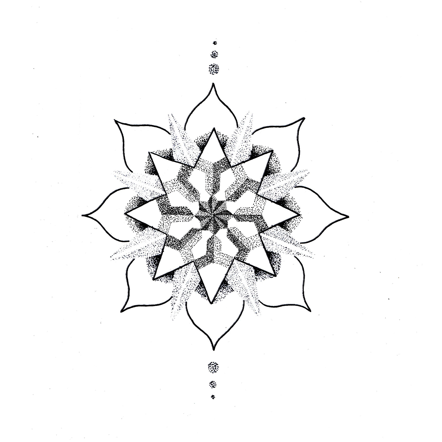 1500x1500 Lotus Drawing Geometric For Free Download