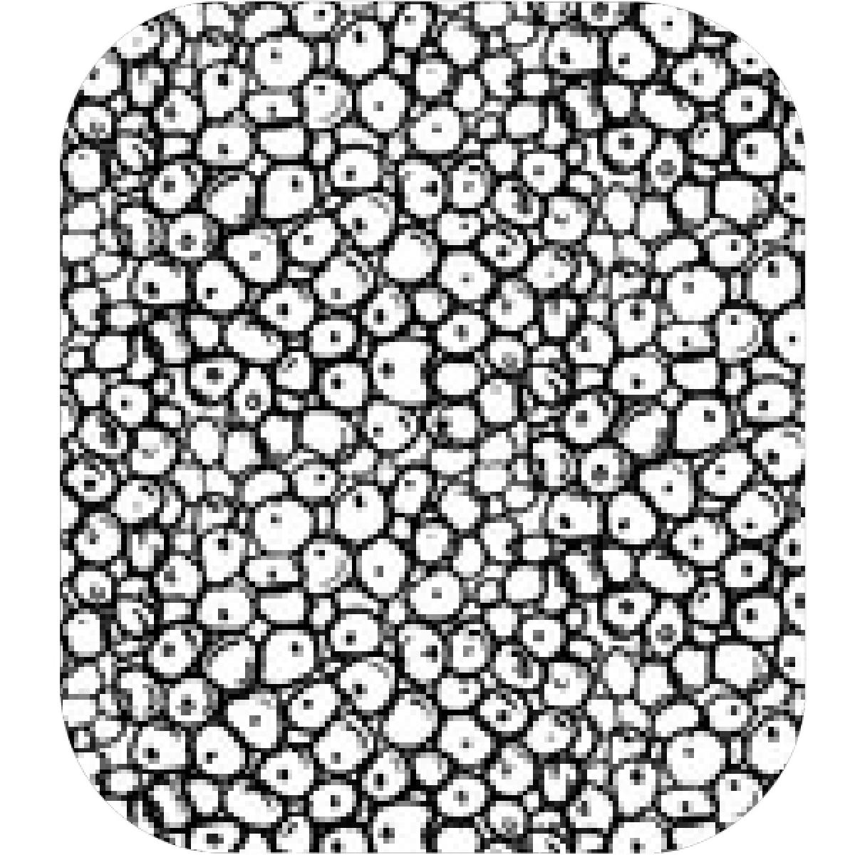 1200x1200 Designs Mein Mousepad Design Mousepad Selbst Designen