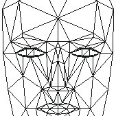 169x169 Pdf Shaping Of Geometry Of Human Head Model