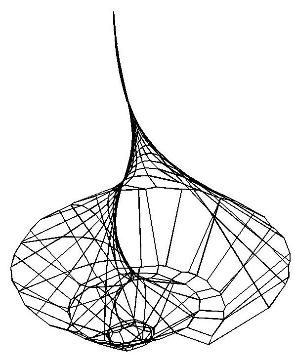 Geometric Fish Drawing