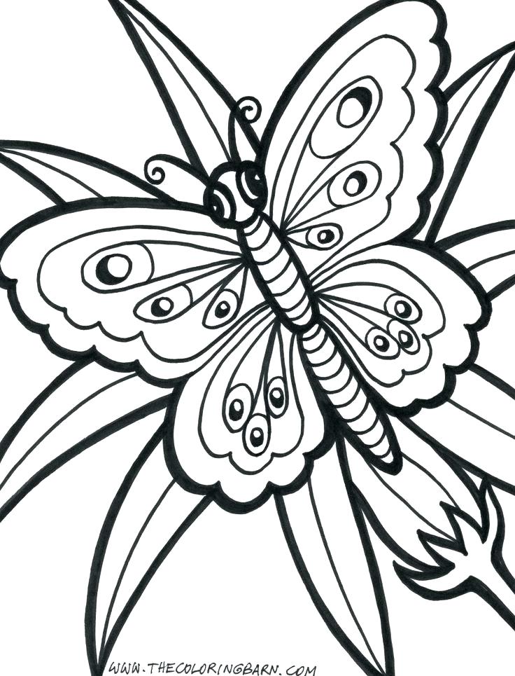 736x965 Geometric Flower Coloring Pages Flower Coloring Pages For Boys