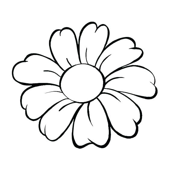564x589 Simple Line Drawings Of Flowers Image Result For Simple Flower