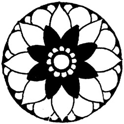 252x251 Creative Flower Drawings