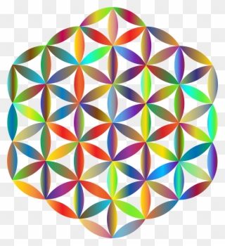 320x350 Clip Art Collection Of Transparent Shapes