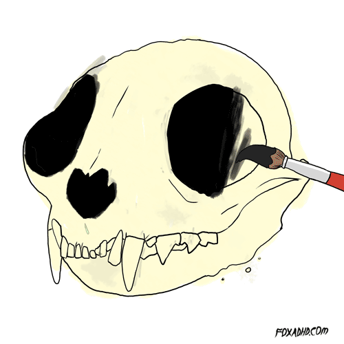 500x500 George W Bush Lol Gif