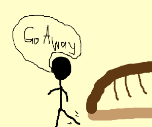 300x250 shoe throws george w bush