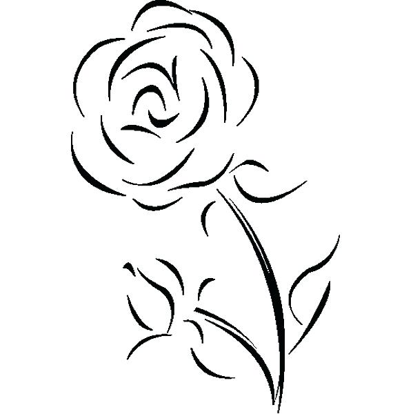 599x600 Simple Rose Outline Simple Rose Outline Drawing Google Search