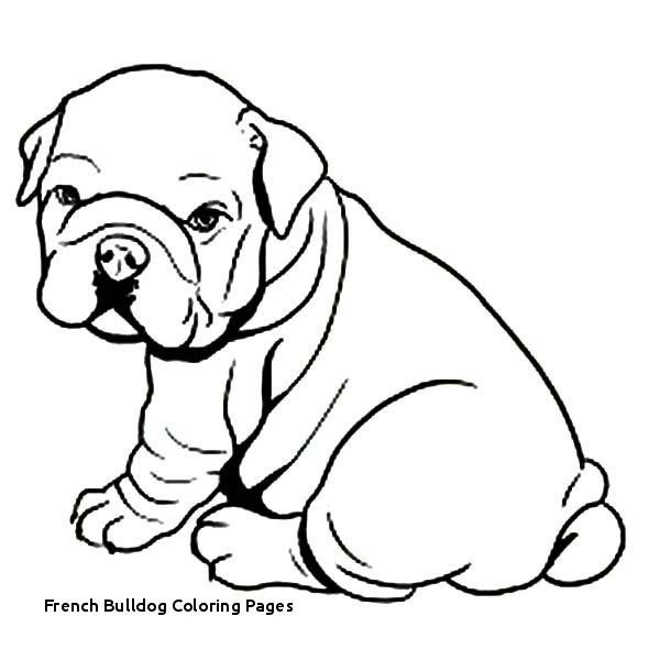 600x600 Fresh Georgia Bulldogs Coloring Pages