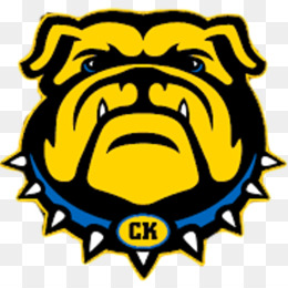 260x260 Georgia Bulldogs Png