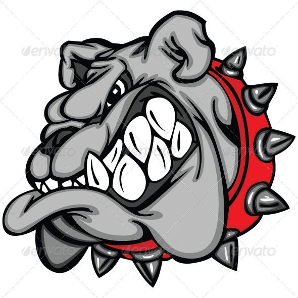 590x590 Bulldog Cartoon Face Vector Illustration