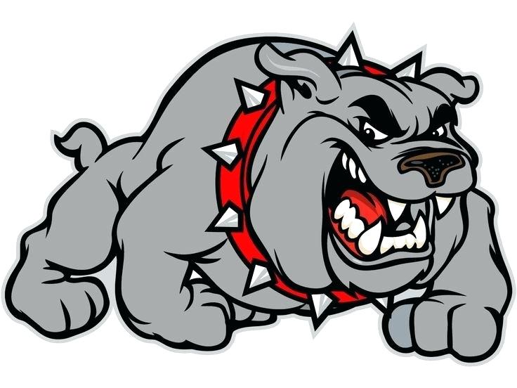 736x552 bulldogs to draw georgia bulldogs drawings